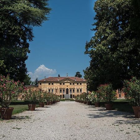 Villa Curti Sovizzo Exterior photo